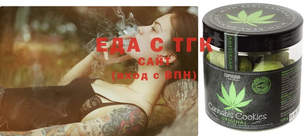 индика Ладушкин