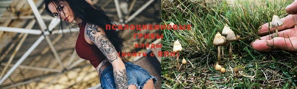 хмурый Горно-Алтайск