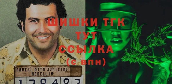 хмурый Горно-Алтайск