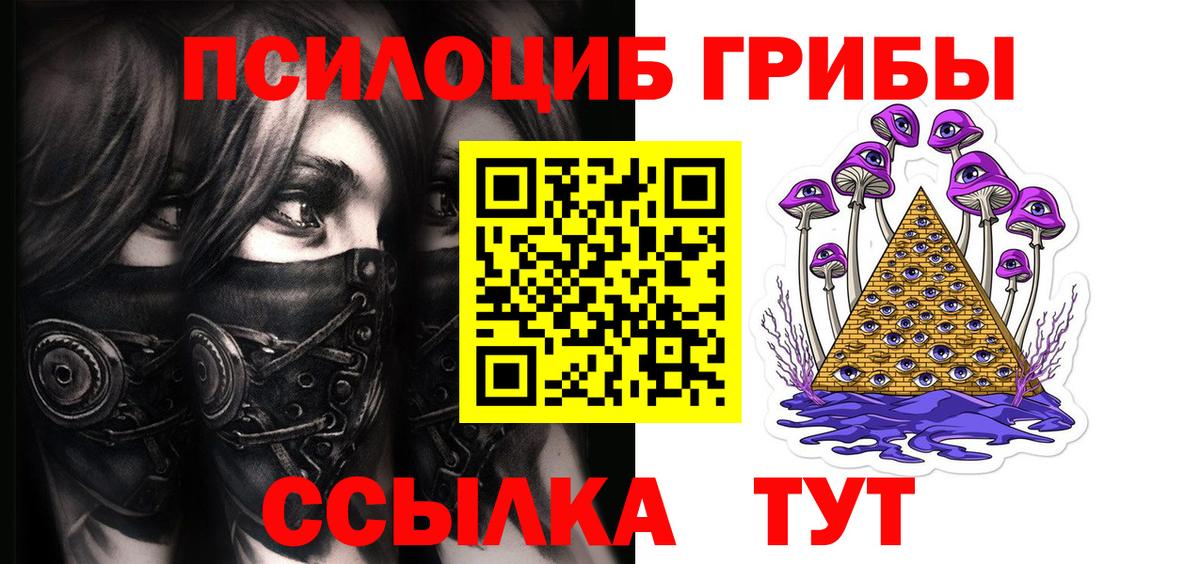 Псилоцибиновые грибы Psilocybe Моршанск