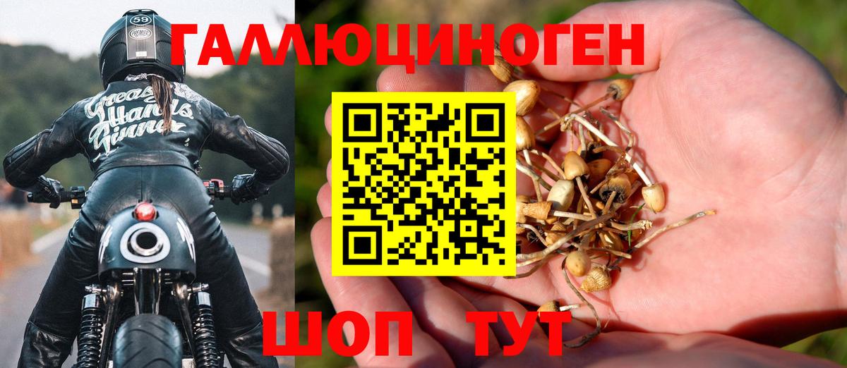 купить наркотик  Вход с VPN  Моршанск  Галлюциногенные грибы мицелий  Галлюциногенные грибы ЛСД 
